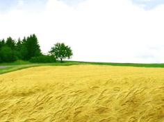 爱游戏APP下载基地展示5